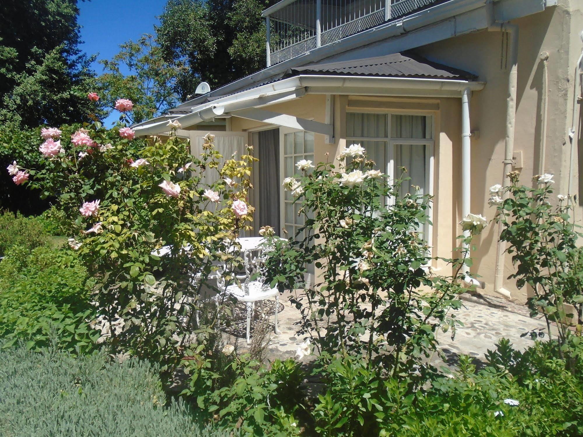 Albert House B&B Cradock Exterior foto